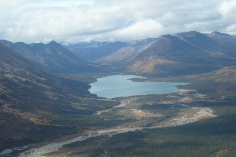 alaska river float hunts for moose