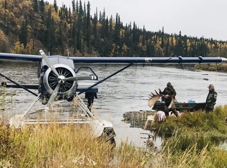 alaskan moose hunts