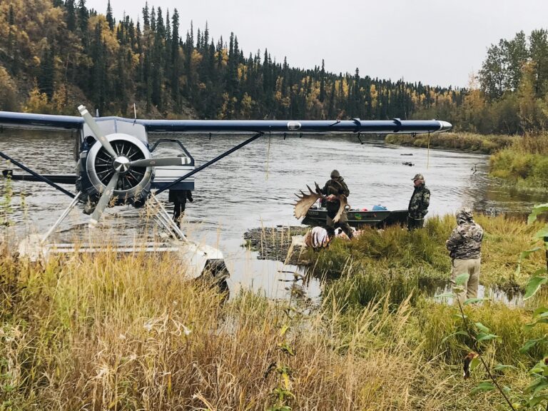 self guided moose hunt alaska