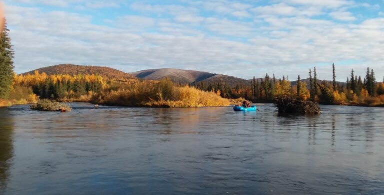 diy moose hunting alaska