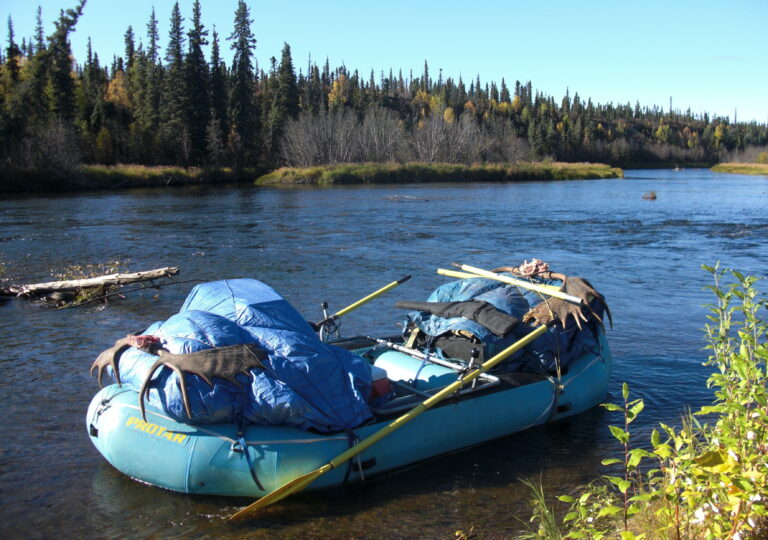 unguided moose hunting in alaska