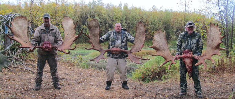 alaska moose hunts