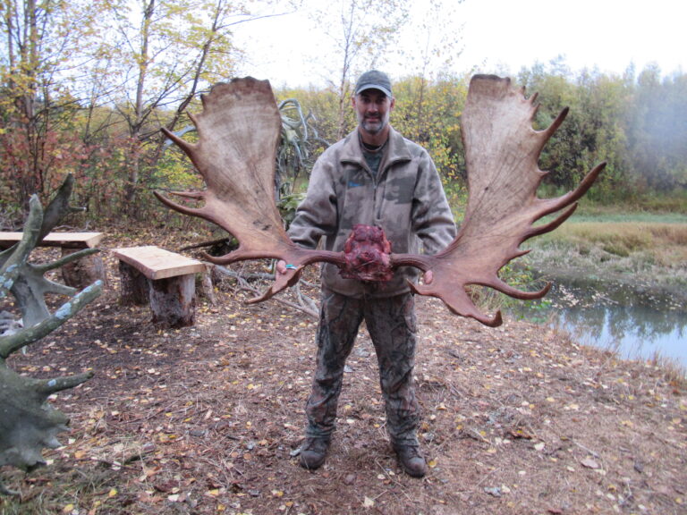 alaska moose hunts