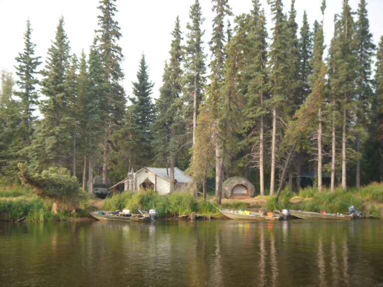 alaska river float hunts for moose