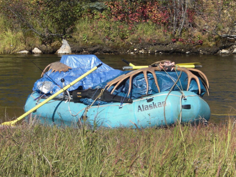 unguided moose hunting in alaska