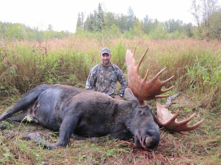 alaska river float hunts for moose