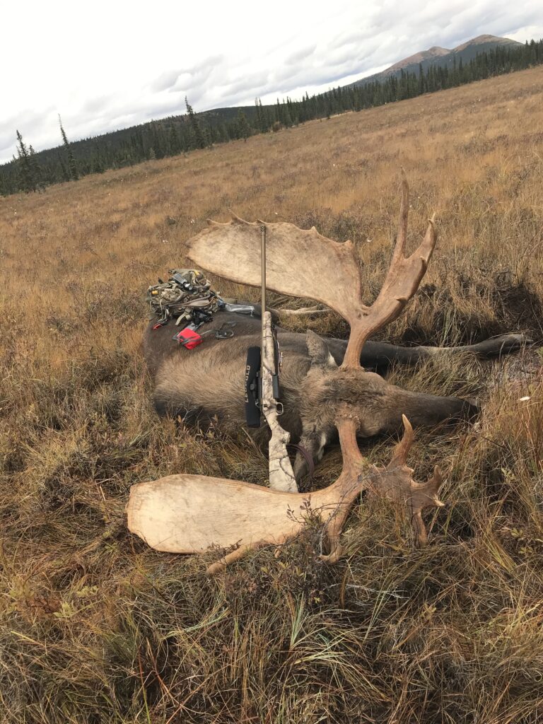 alaskan moose hunts