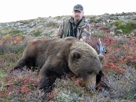 Brown Bear Hunts In Alaska With ABA
