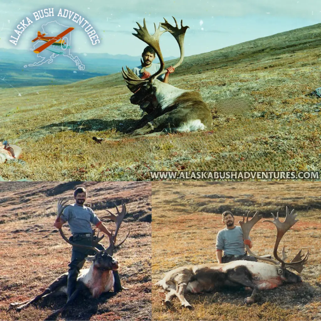 Caribou Hunting Alaska