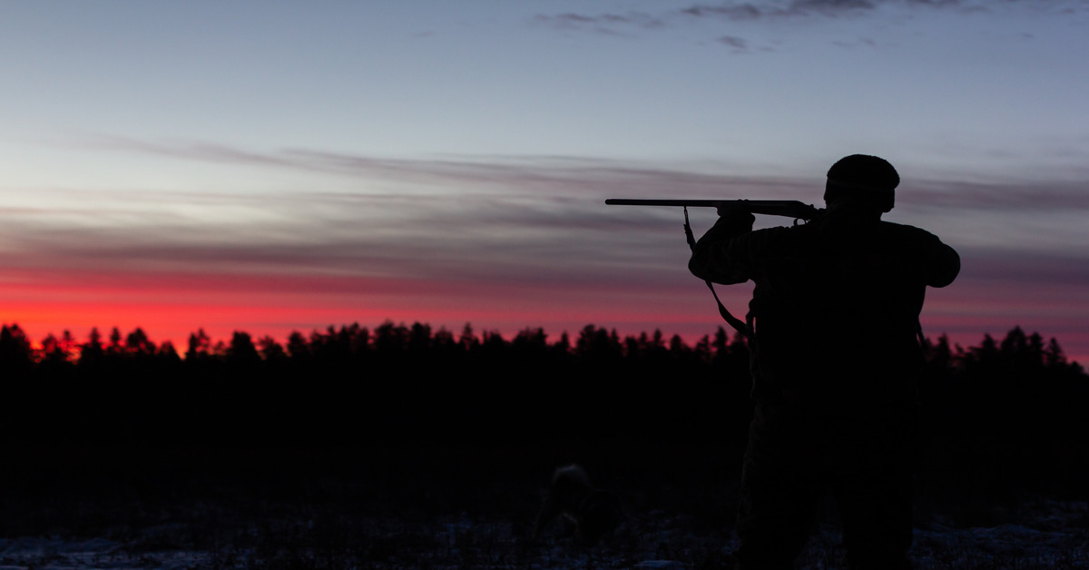 The silhouette of a person aiming a gun. You can see a dark tree line and the setting sun behind them.