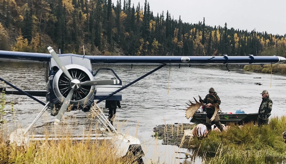 ABA Plane Loading Clients Moose