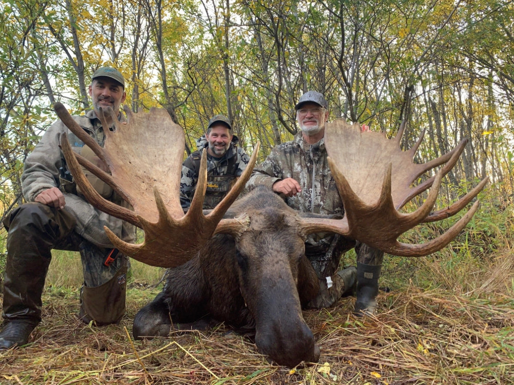 Alaska Guided Moose Hunts