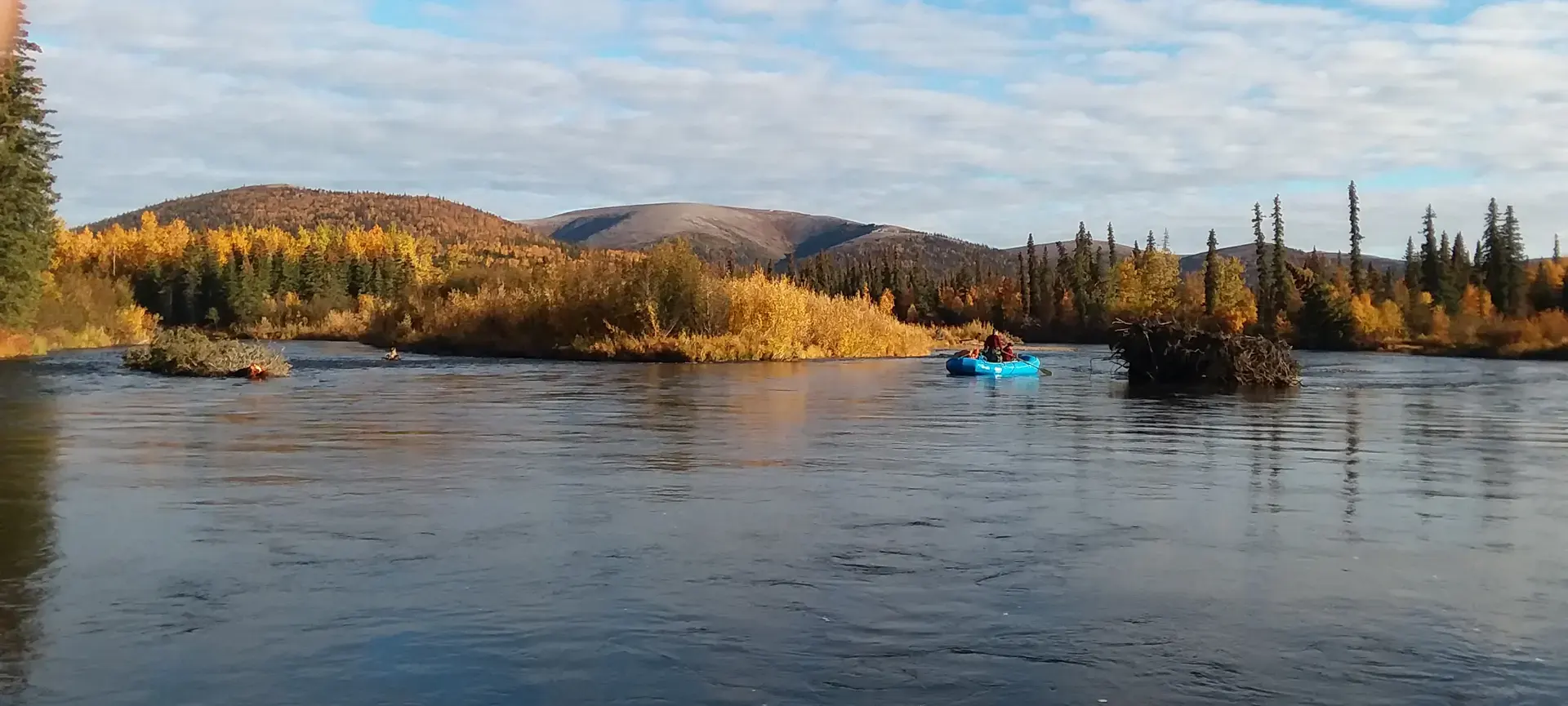 DIY Moose Hunts In Alaska With ABA