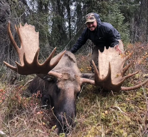 Tanners Moose With Alaska Bush Adventures